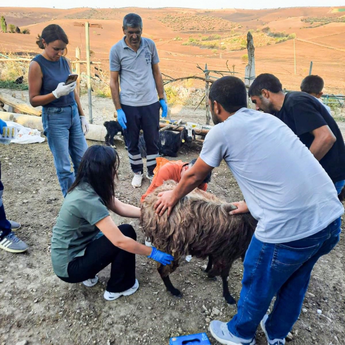 Belediyeden Mardin ve Diyarbakıra veteriner ve itfaiye desteği
